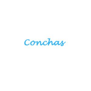 Conchas