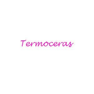 3. Termoceras